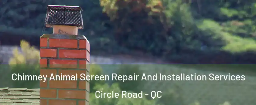  Chimney Animal Screen Repair And Installation Services Circle Road - QC