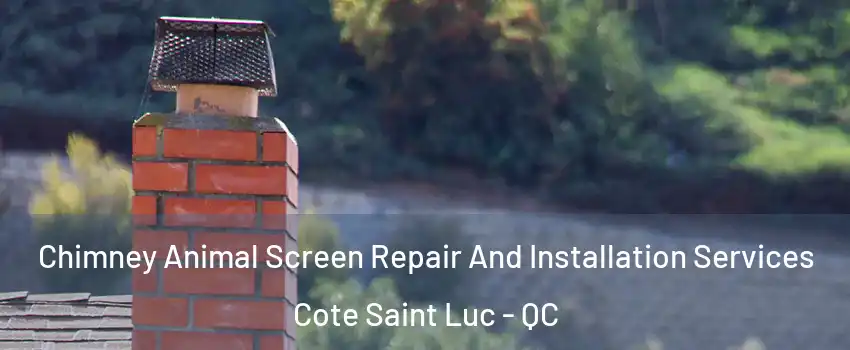  Chimney Animal Screen Repair And Installation Services Cote Saint Luc - QC