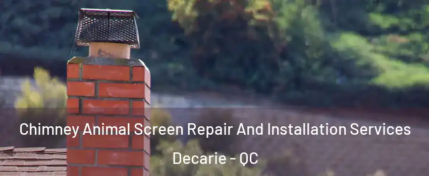  Chimney Animal Screen Repair And Installation Services Decarie - QC