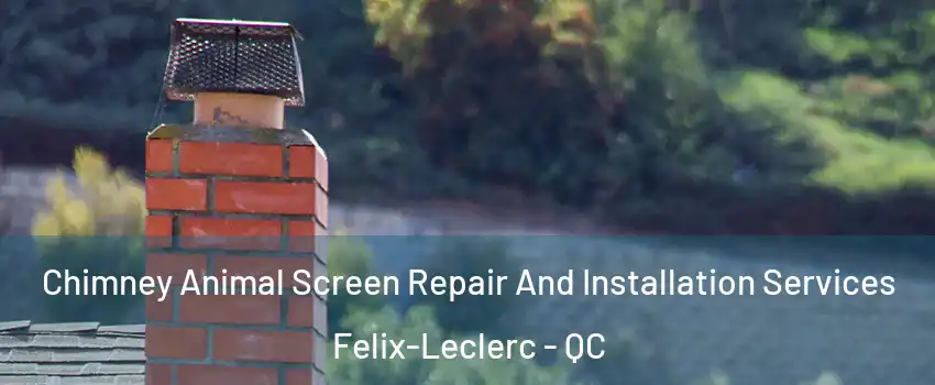  Chimney Animal Screen Repair And Installation Services Felix-Leclerc - QC