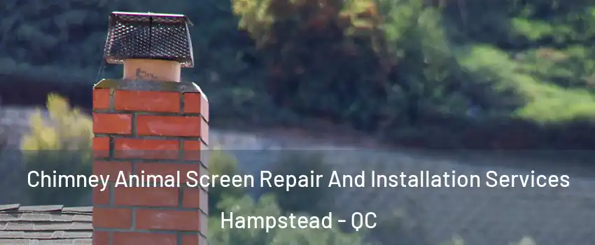 Chimney Animal Screen Repair And Installation Services Hampstead - QC