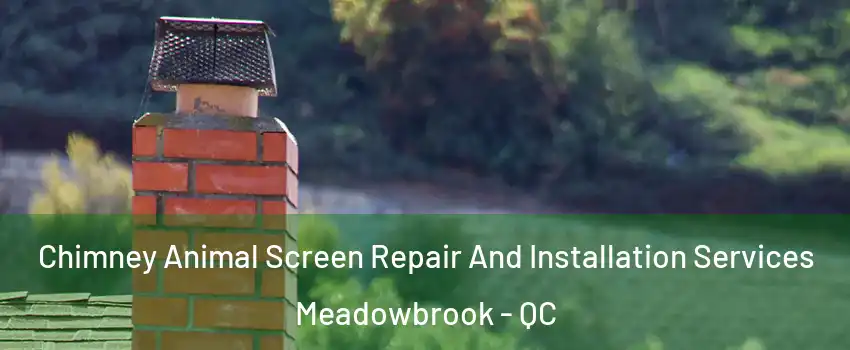  Chimney Animal Screen Repair And Installation Services Meadowbrook - QC