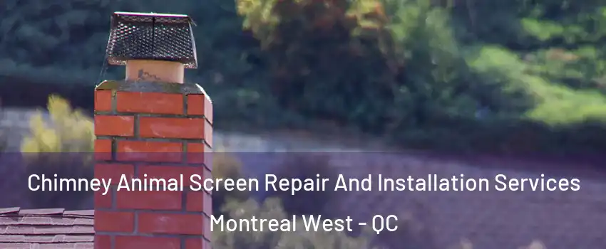  Chimney Animal Screen Repair And Installation Services Montreal West - QC