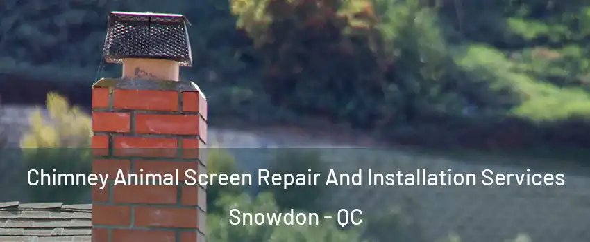  Chimney Animal Screen Repair And Installation Services Snowdon - QC