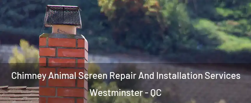  Chimney Animal Screen Repair And Installation Services Westminster - QC