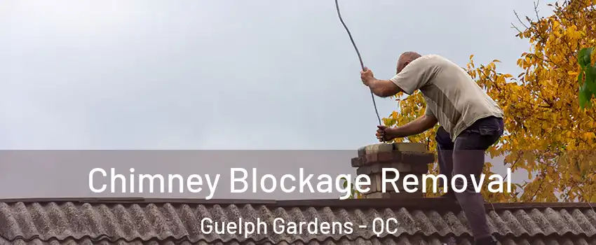  Chimney Blockage Removal Guelph Gardens - QC