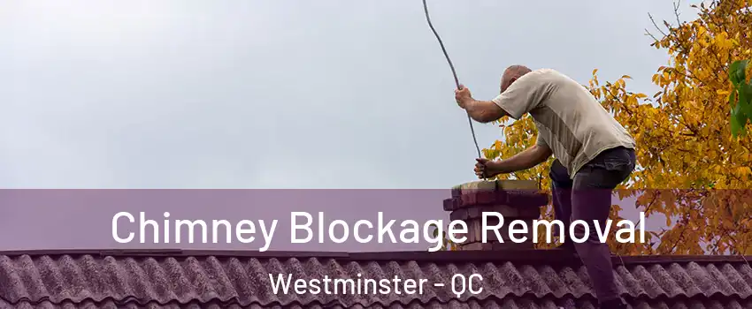  Chimney Blockage Removal Westminster - QC