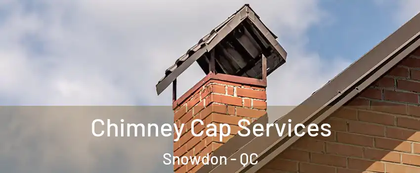  Chimney Cap Services Snowdon - QC