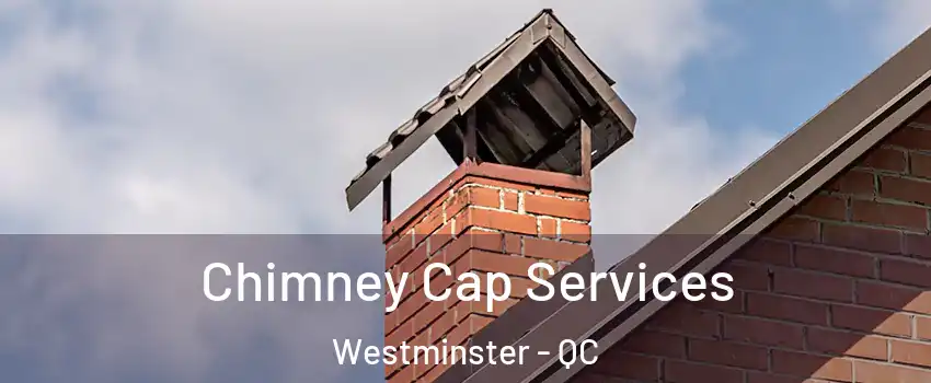  Chimney Cap Services Westminster - QC