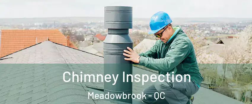  Chimney Inspection Meadowbrook - QC