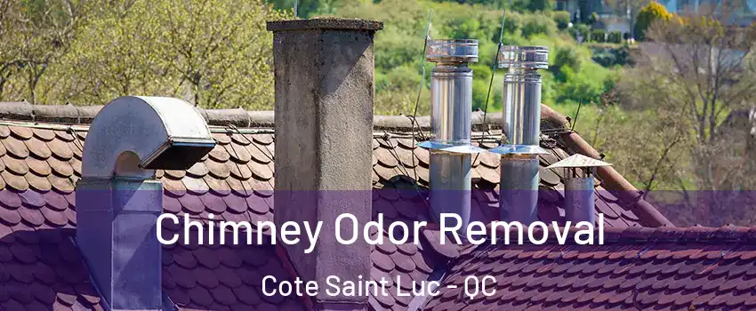  Chimney Odor Removal Cote Saint Luc - QC