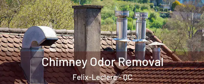  Chimney Odor Removal Felix-Leclerc - QC