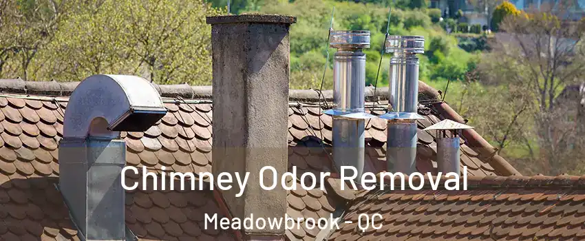  Chimney Odor Removal Meadowbrook - QC