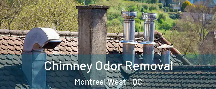  Chimney Odor Removal Montreal West - QC