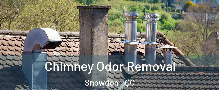  Chimney Odor Removal Snowdon - QC