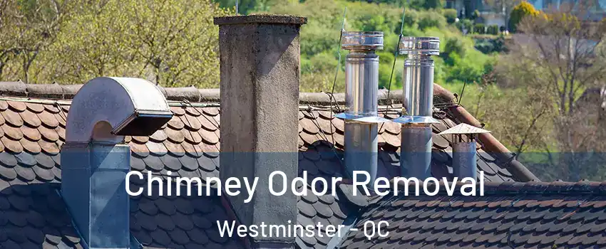  Chimney Odor Removal Westminster - QC