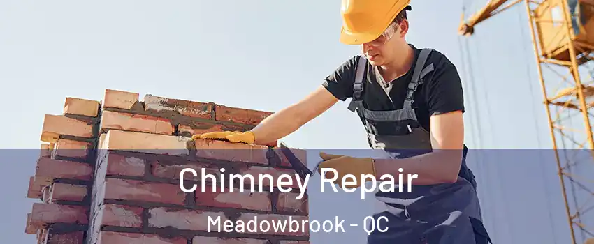  Chimney Repair Meadowbrook - QC