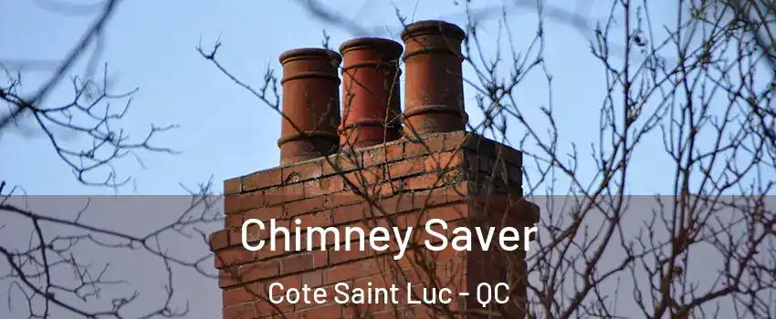  Chimney Saver Cote Saint Luc - QC
