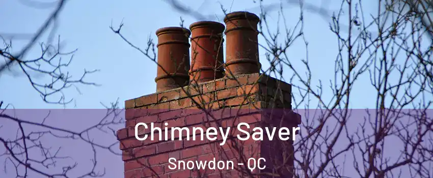  Chimney Saver Snowdon - QC