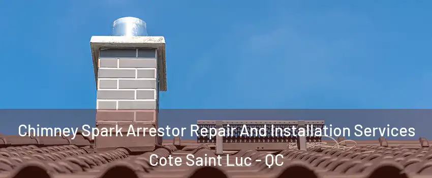  Chimney Spark Arrestor Repair And Installation Services Cote Saint Luc - QC