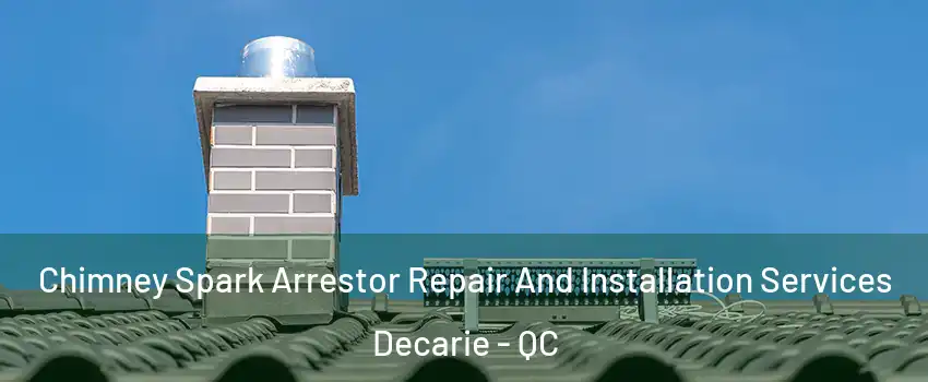  Chimney Spark Arrestor Repair And Installation Services Decarie - QC