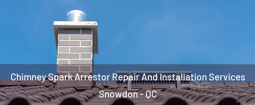  Chimney Spark Arrestor Repair And Installation Services Snowdon - QC