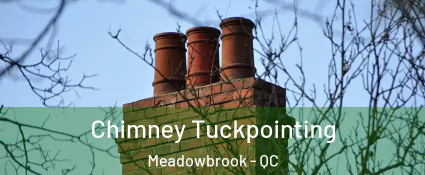  Chimney Tuckpointing Meadowbrook - QC