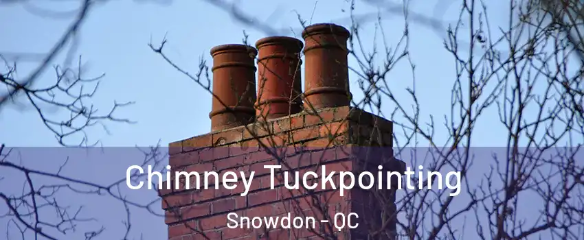  Chimney Tuckpointing Snowdon - QC