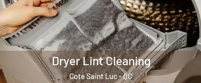  Dryer Lint Cleaning Cote Saint Luc - QC