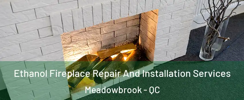  Ethanol Fireplace Repair And Installation Services Meadowbrook - QC