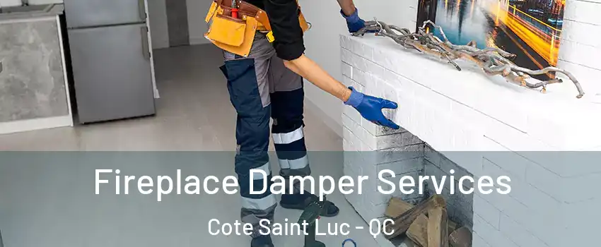  Fireplace Damper Services Cote Saint Luc - QC