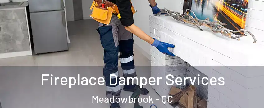  Fireplace Damper Services Meadowbrook - QC