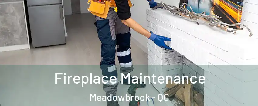  Fireplace Maintenance Meadowbrook - QC
