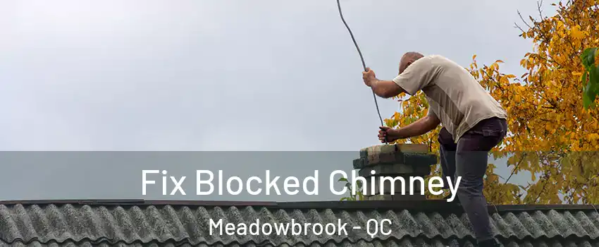  Fix Blocked Chimney Meadowbrook - QC