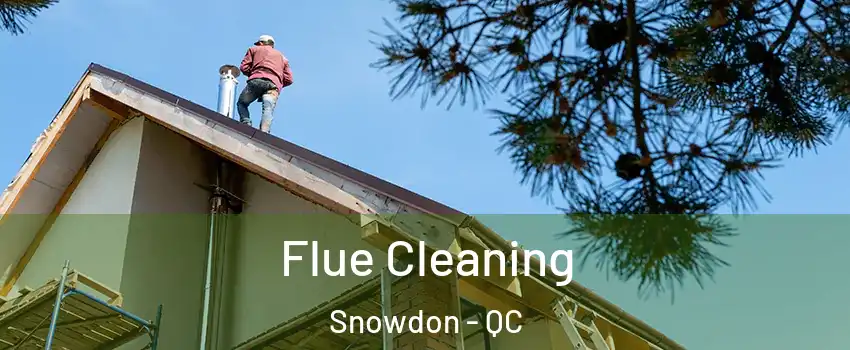  Flue Cleaning Snowdon - QC