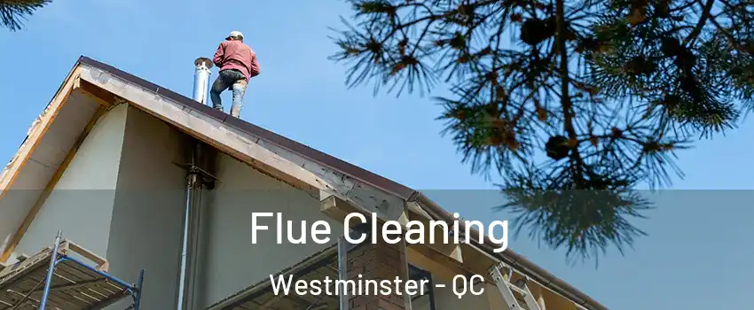  Flue Cleaning Westminster - QC