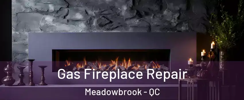  Gas Fireplace Repair Meadowbrook - QC
