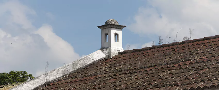 Wind-Resistant Chimney Caps Installation and Repair Services in Montreal West, Quebec