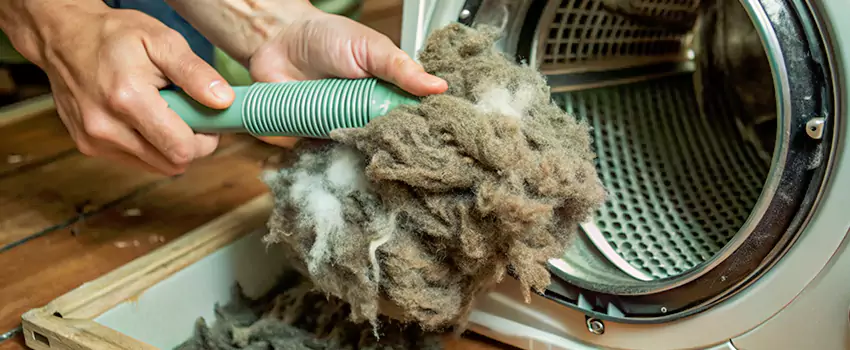 Best Dryer Lint Removal Company in Montreal West, Quebec