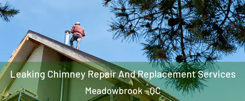  Leaking Chimney Repair And Replacement Services Meadowbrook - QC