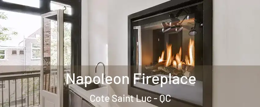  Napoleon Fireplace Cote Saint Luc - QC