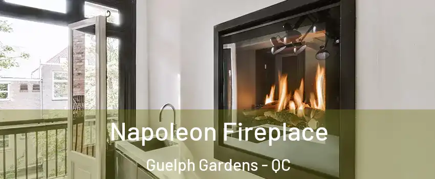  Napoleon Fireplace Guelph Gardens - QC
