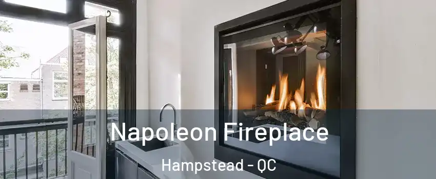  Napoleon Fireplace Hampstead - QC