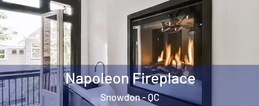  Napoleon Fireplace Snowdon - QC