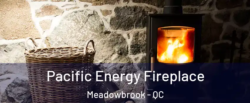  Pacific Energy Fireplace Meadowbrook - QC