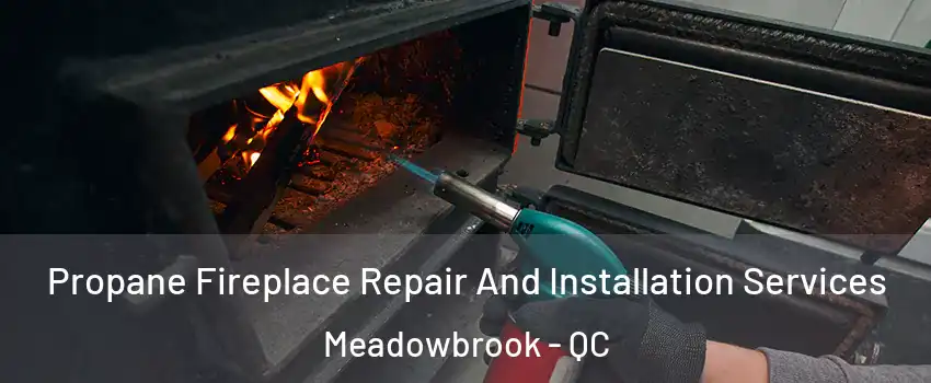 Propane Fireplace Repair And Installation Services Meadowbrook - QC